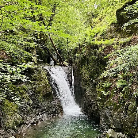 Juniper Lodge, District Shepherd Hut With Hot Tub Dom wakacyjny